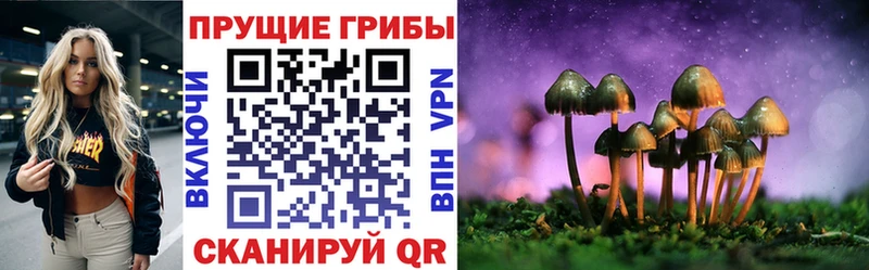 Купить  Славянск-на-Кубани  Галлюциногенные грибы GOLDEN TEACHER 